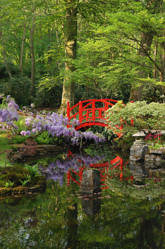 Japanse tuin Den Haag